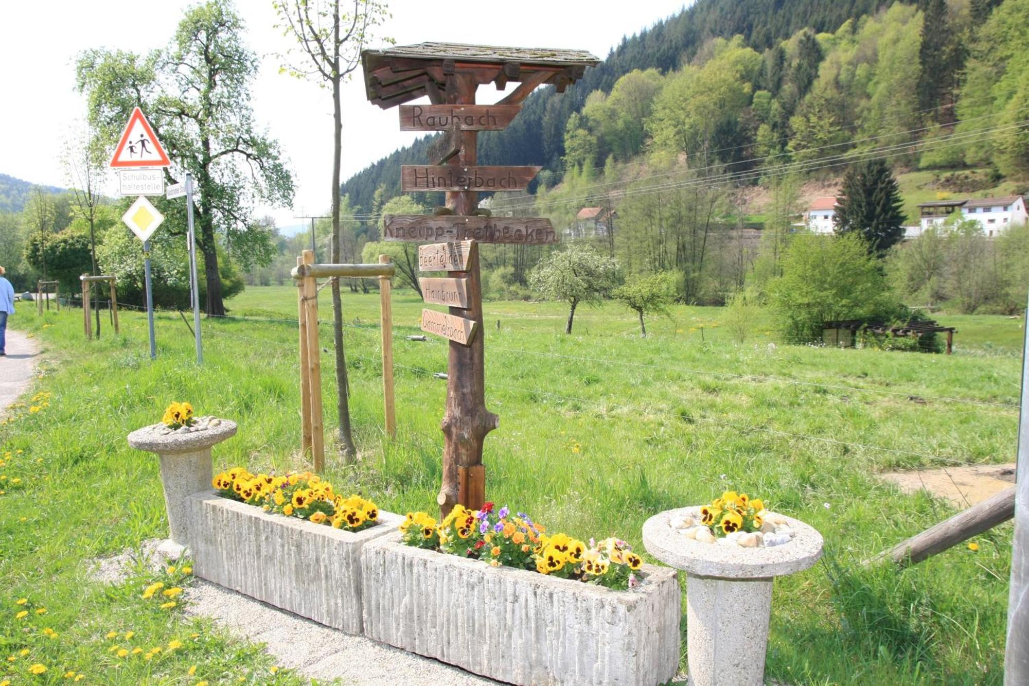 Gasthof Zur Traube Finkenbach Eksteriør billede