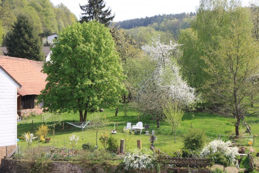 Gasthof Zur Traube Finkenbach Værelse billede